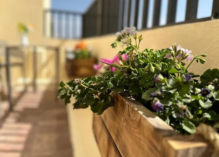 Apartment Nahmar Arrecife (Lanzarote)